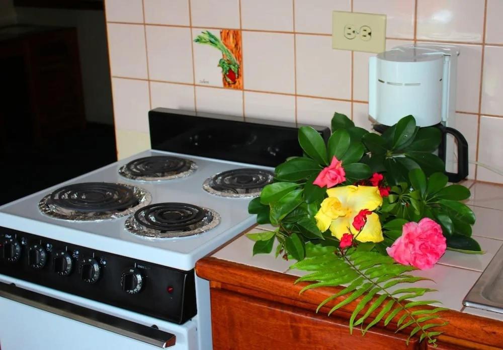 Hotel Ecological Inn San José Extérieur photo